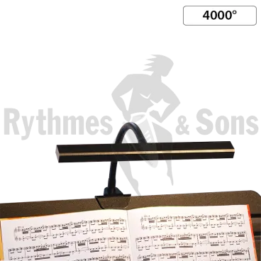 RYTHMES & SONS 4000° Notelight® light (small model)