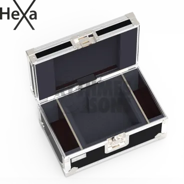 Flight-⁠case pour caméra SONY BRC-⁠X1000