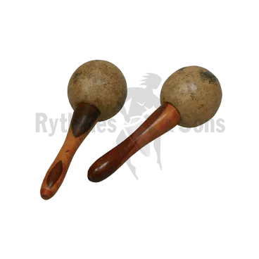 Petite maracas aiguë