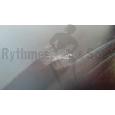 1395x580xH255 Plywood storage suitcase with foam