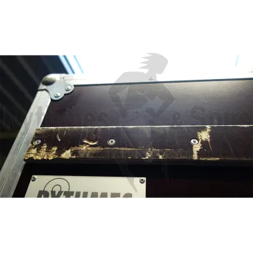 Flight-case pour harpe Lyon Healy Gold 11