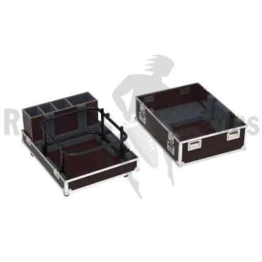 Flight-⁠case pour vidéoprojecteur PANASONIC sur châssis ET-⁠RFD65,  EVO-⁠P17
