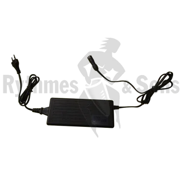 Battery charger for 1 battery pack Li-ion 24V